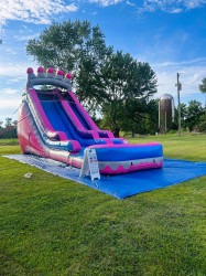 Princess20Slide 1710999292 The Pink Princess - 18’